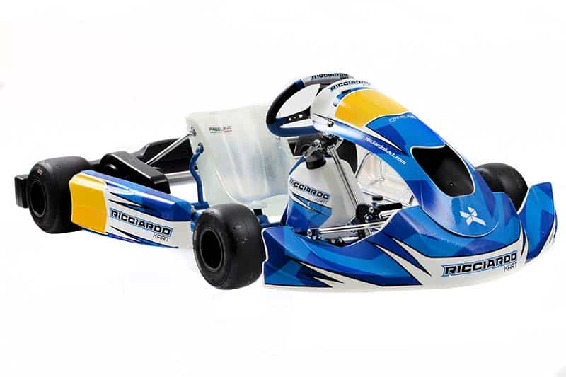 Load image into Gallery viewer, 2022 RICCIARDO KART DR01 S14
